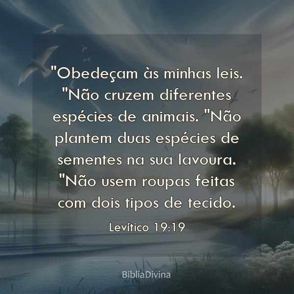 Levítico 19:19