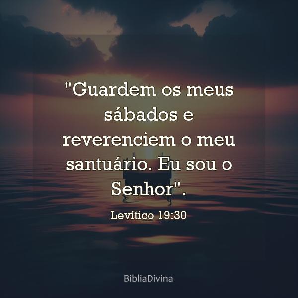 Levítico 19:30