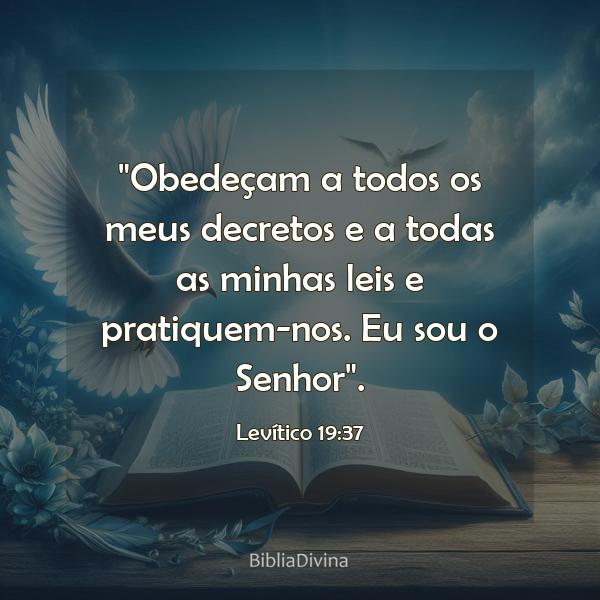 Levítico 19:37