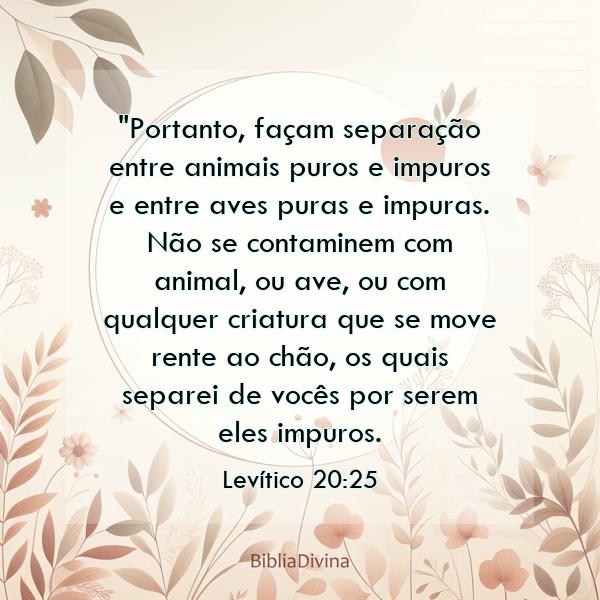 Levítico 20:25