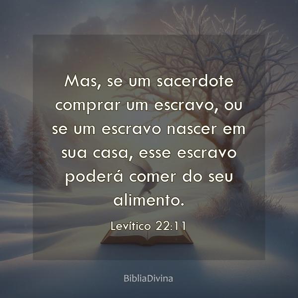 Levítico 22:11