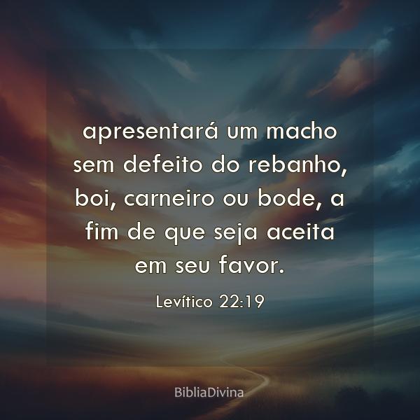 Levítico 22:19