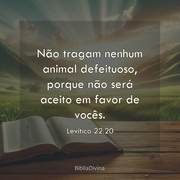 Levítico 22:20