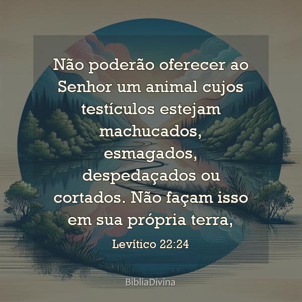 Levítico 22:24