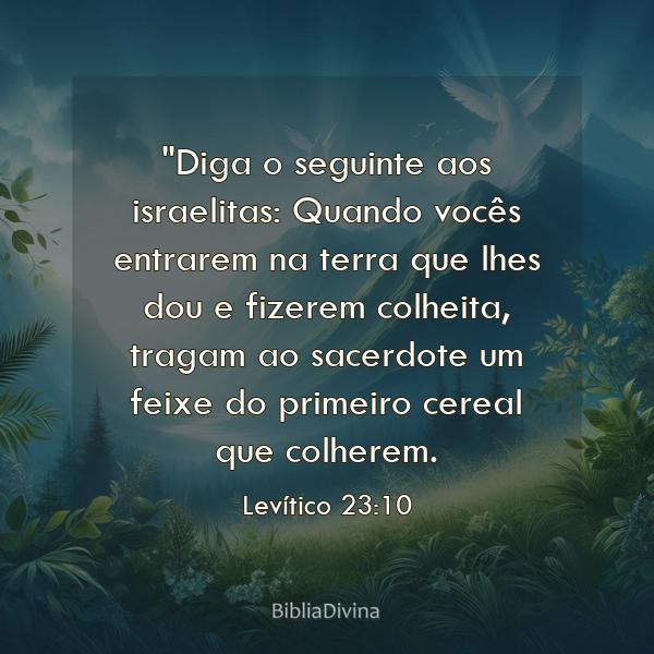 Levítico 23:10