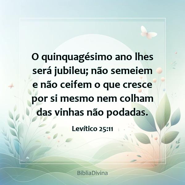 Levítico 25:11