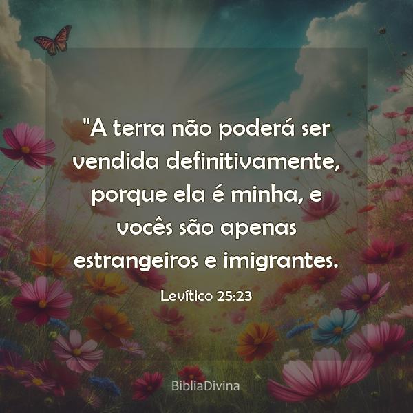 Levítico 25:23