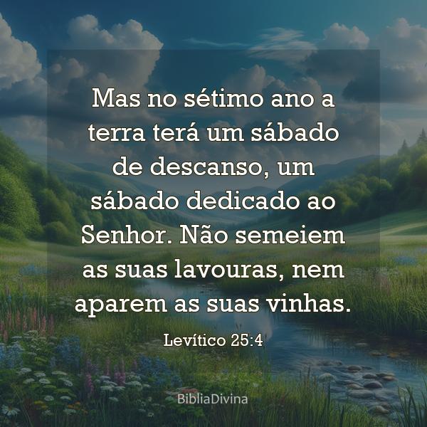 Levítico 25:4