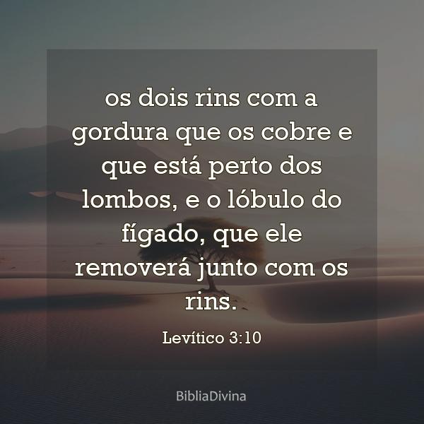 Levítico 3:10