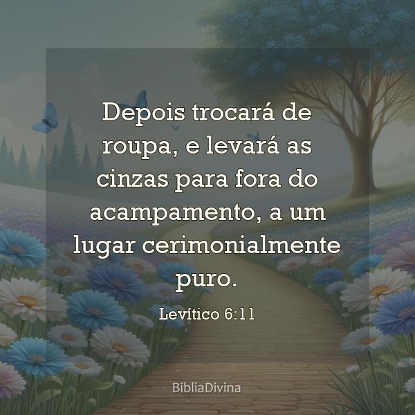 Levítico 6:11