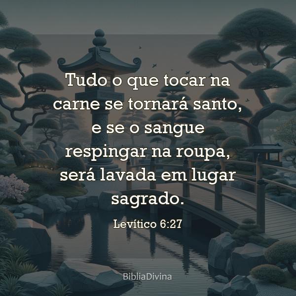 Levítico 6:27