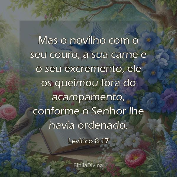 Levítico 8:17