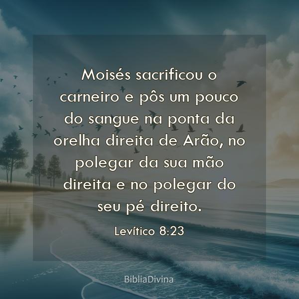 Levítico 8:23