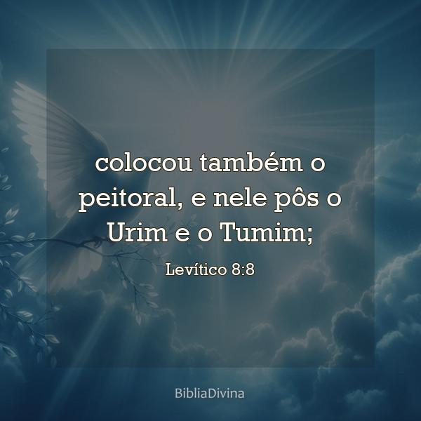 Levítico 8:8