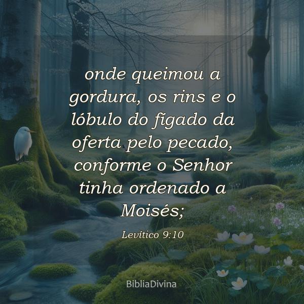 Levítico 9:10