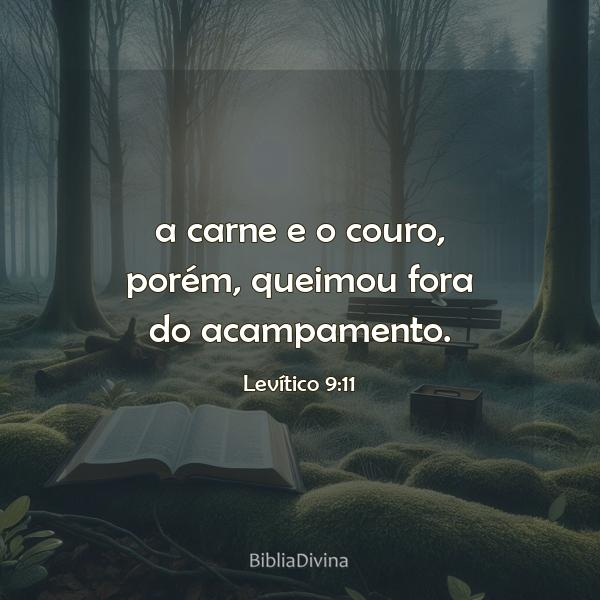 Levítico 9:11