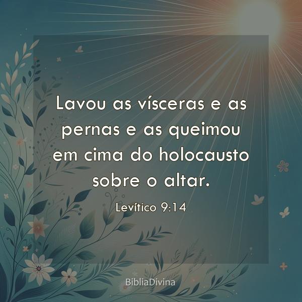 Levítico 9:14