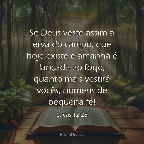 Lucas 12:28