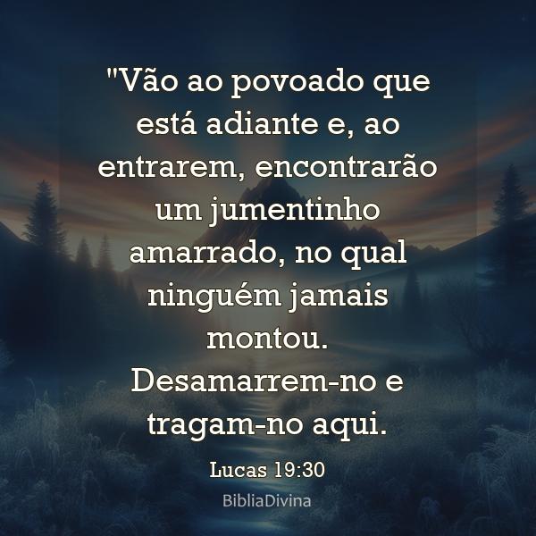 Lucas 19:30