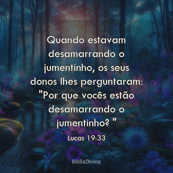 Lucas 19:33