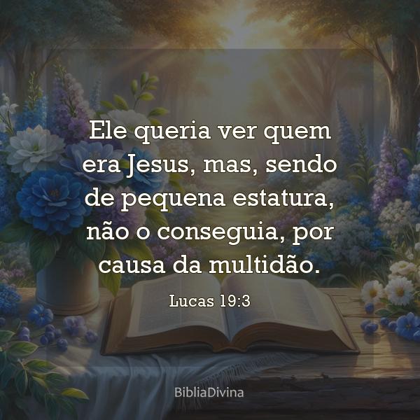 Lucas 19:3