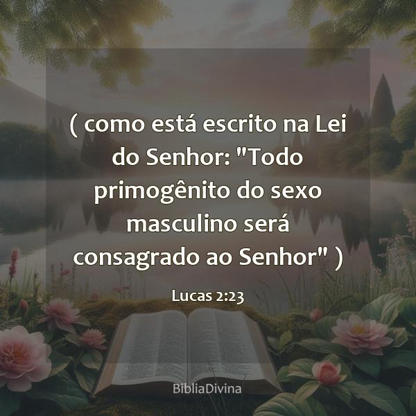 Lucas 2:23