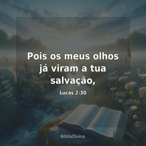 Lucas 2:30