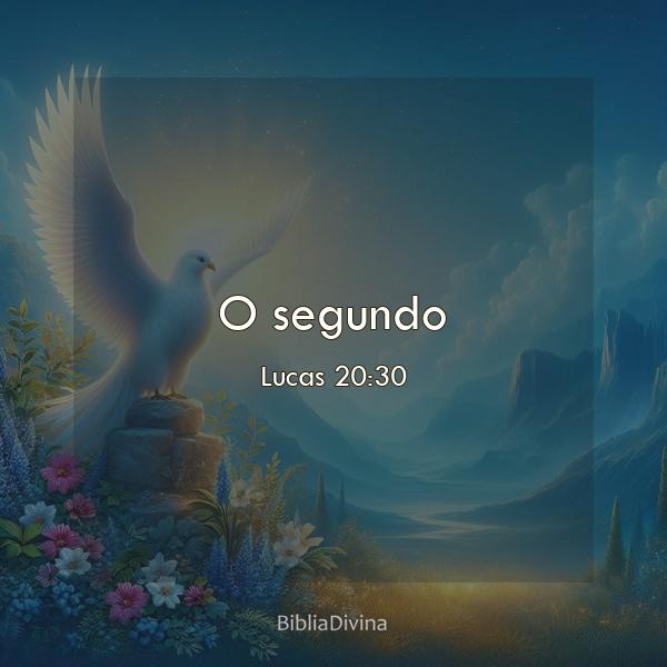 Lucas 20:30