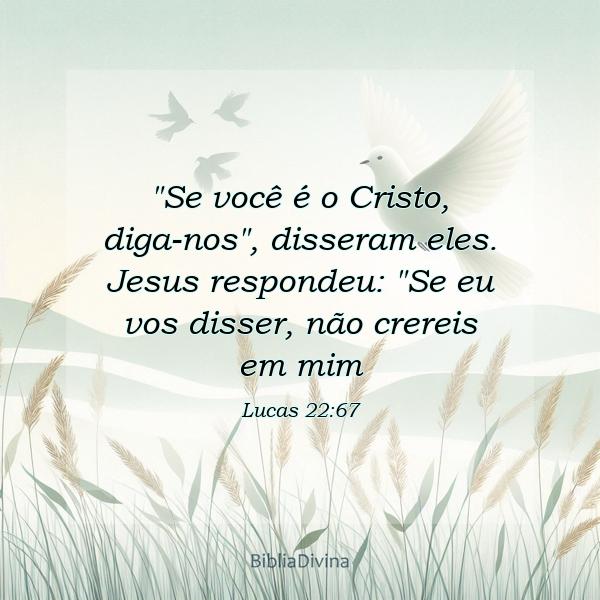 Lucas 22:67