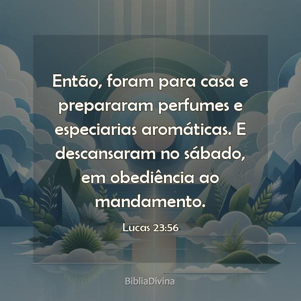 Lucas 23:56