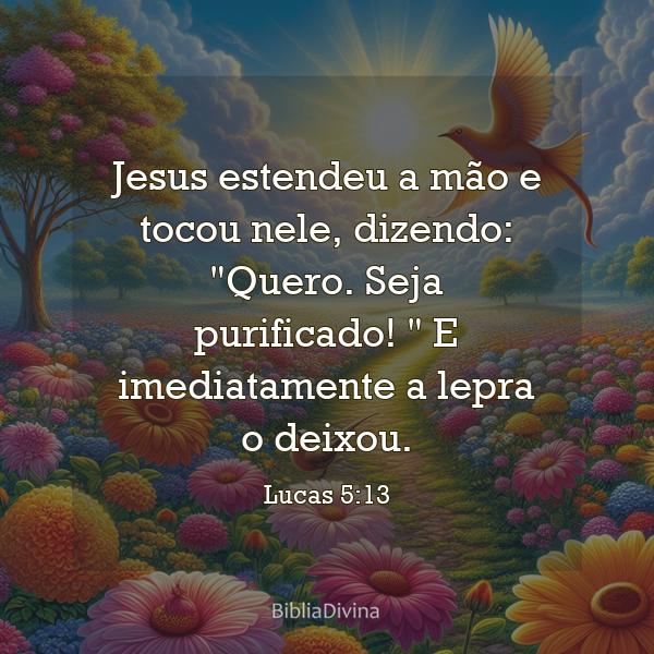 Lucas 5:13