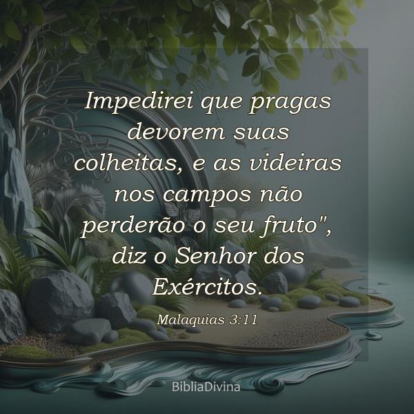 Malaquias 3:11