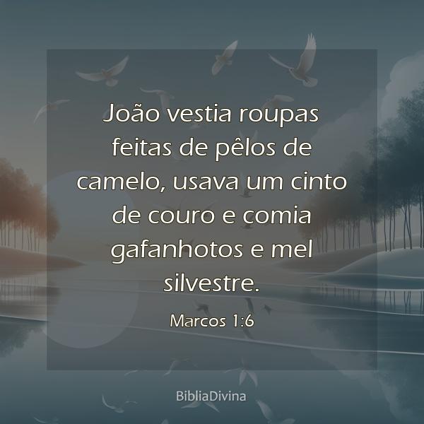 Marcos 1:6