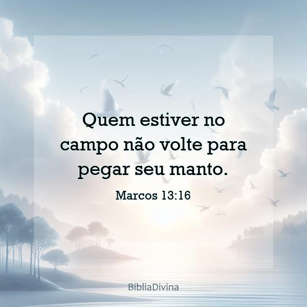 Marcos 13:16