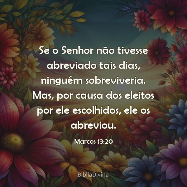 Marcos 13:20