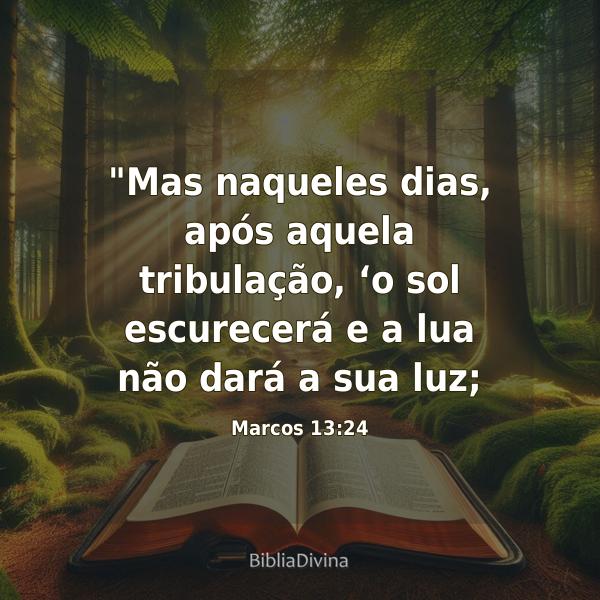 Marcos 13:24