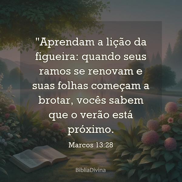 Marcos 13:28