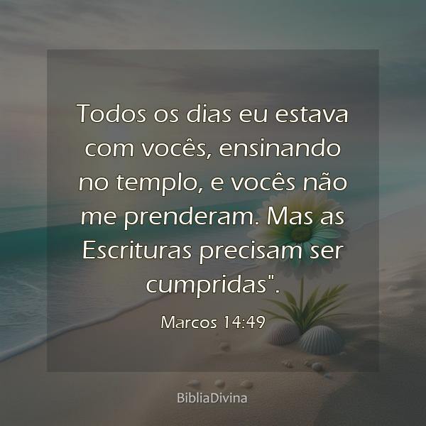 Marcos 14:49