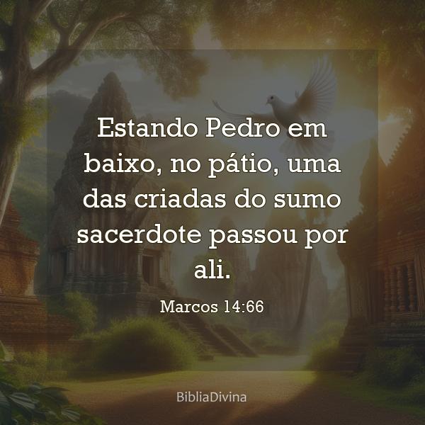 Marcos 14:66