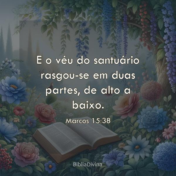 Marcos 15:38