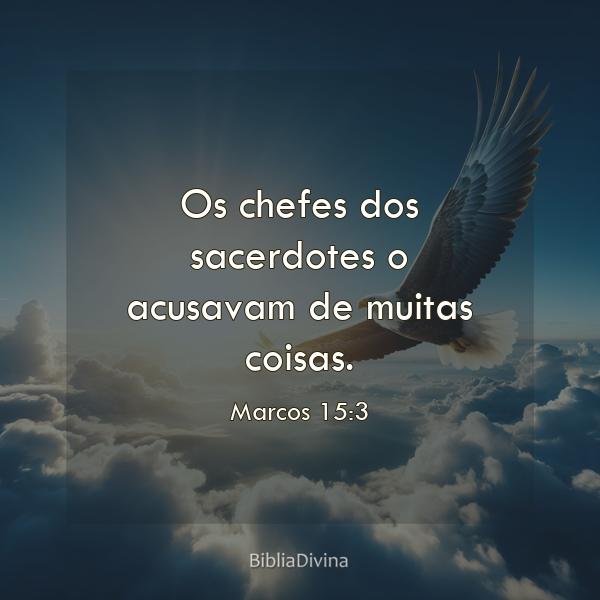 Marcos 15:3