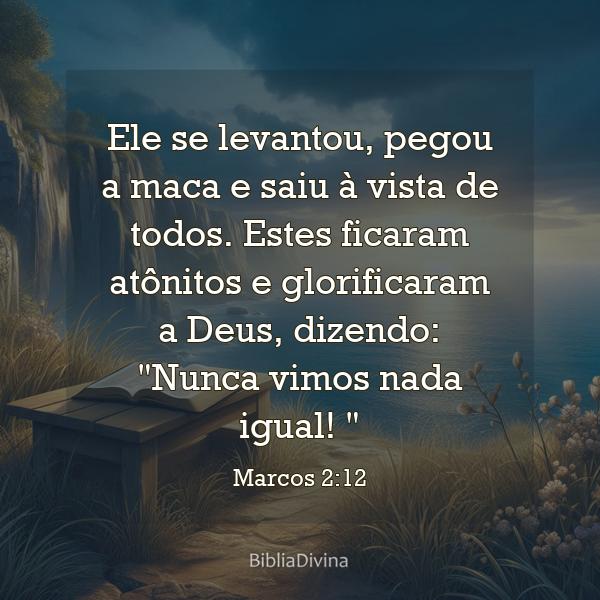 Marcos 2:12