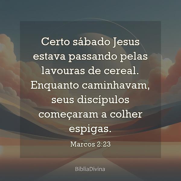 Marcos 2:23