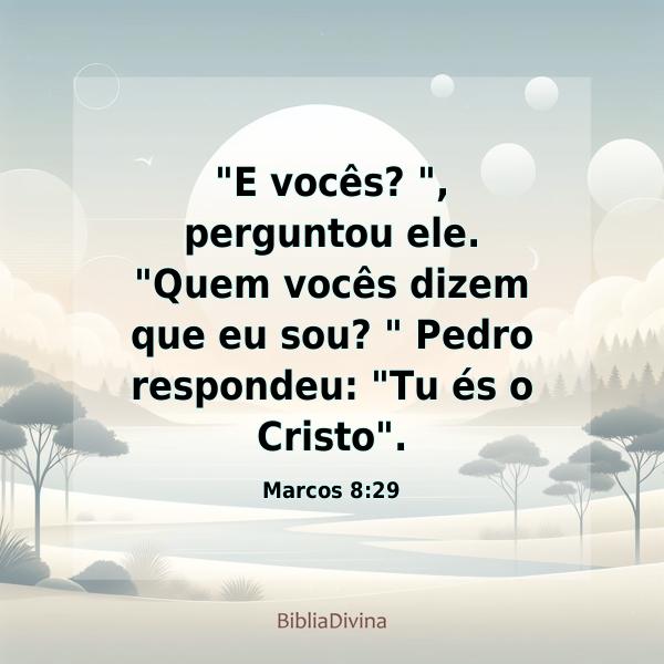 Marcos 8:29