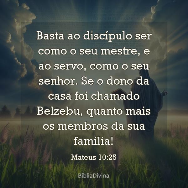 Mateus 10:25