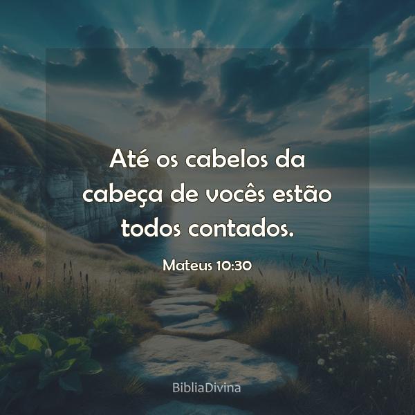 Mateus 10:30