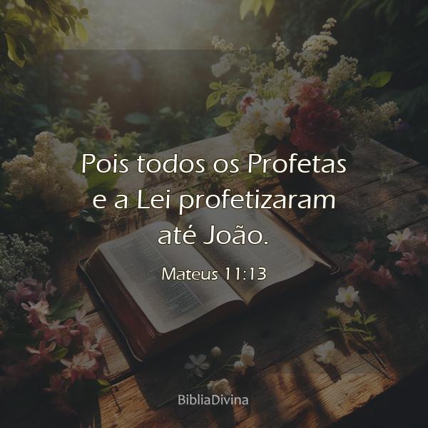 Mateus 11:13