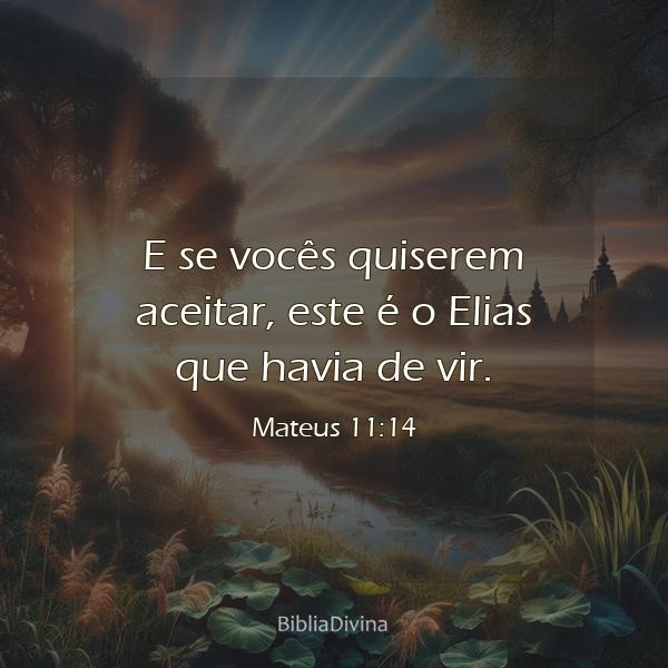 Mateus 11:14