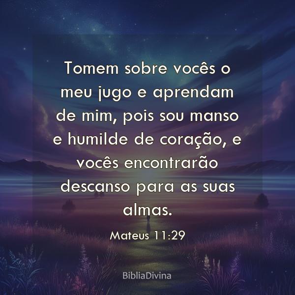 Mateus 11:29