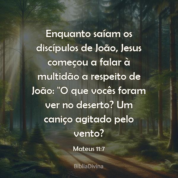 Mateus 11:7